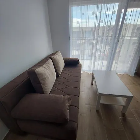 Ekskluziv パラチン