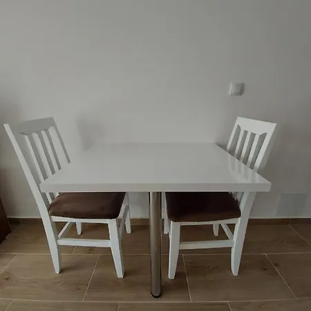 Ekskluziv パラチン