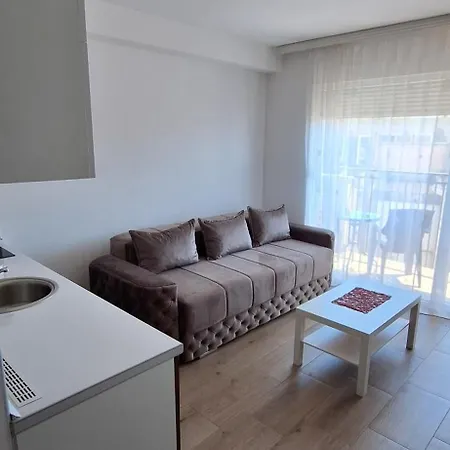 Ekskluziv パラチン